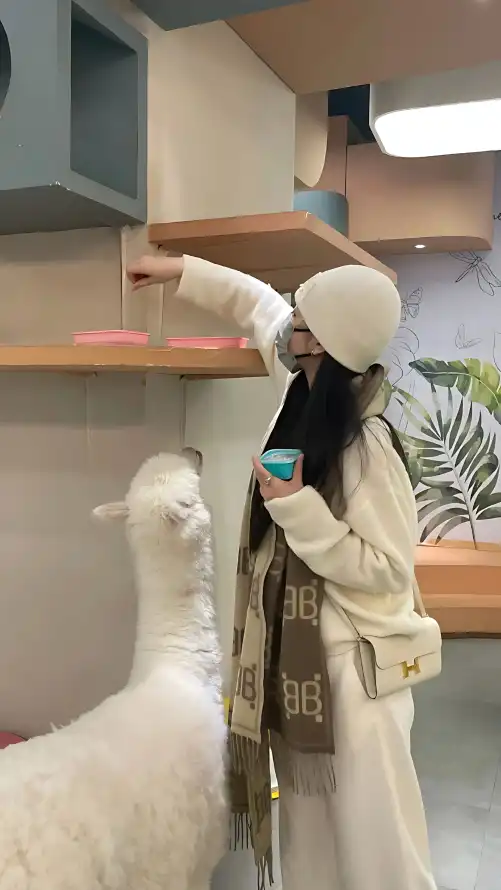万人斗牛_忘忧草网在线社区_亚洲精品无码你懂的